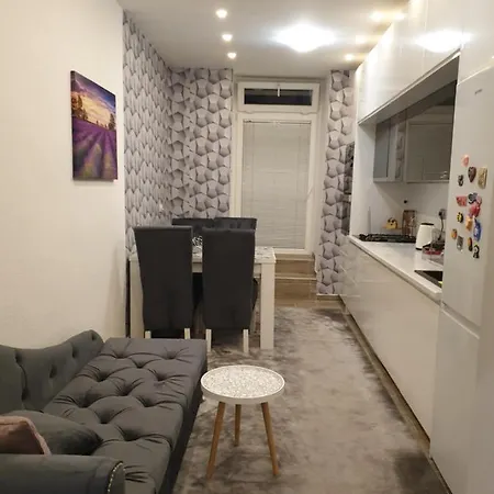 Apartman Old Town Adna アパート